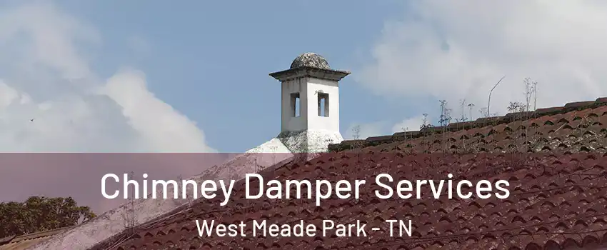 Chimney Damper Services West Meade Park - TN