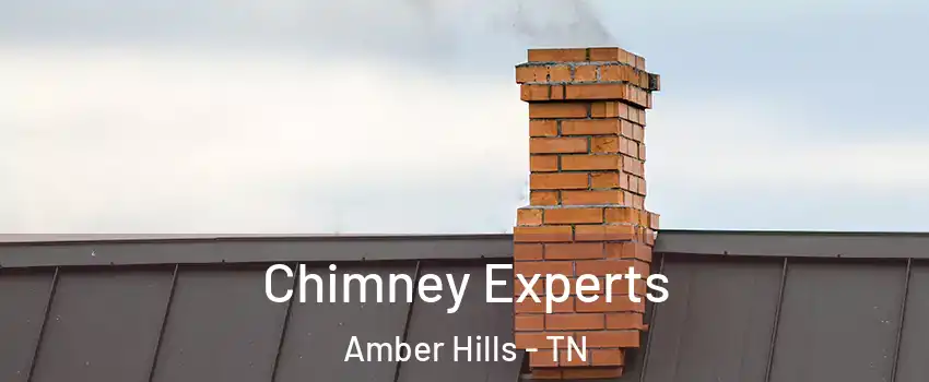 Chimney Experts Amber Hills - TN