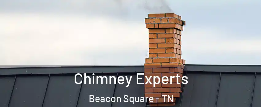 Chimney Experts Beacon Square - TN