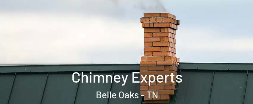 Chimney Experts Belle Oaks - TN