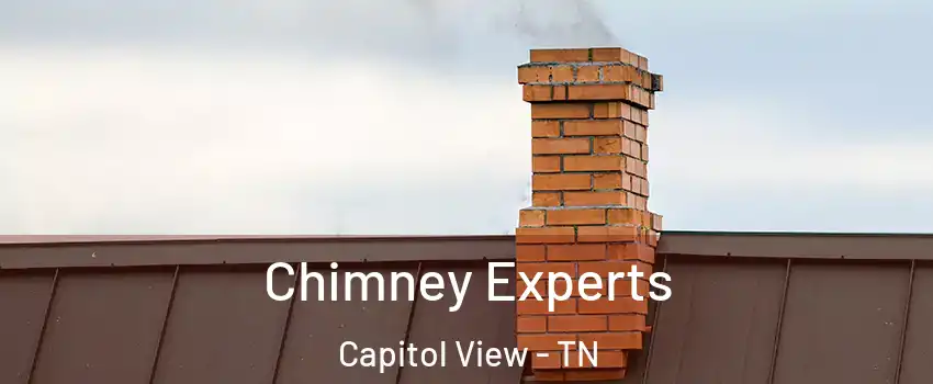 Chimney Experts Capitol View - TN