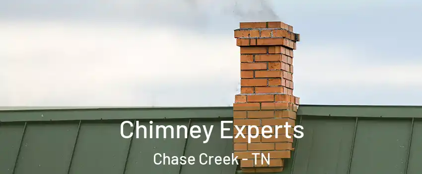 Chimney Experts Chase Creek - TN