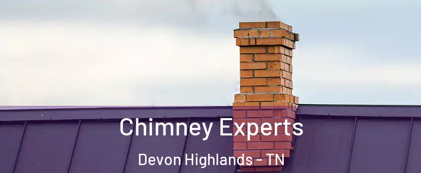 Chimney Experts Devon Highlands - TN