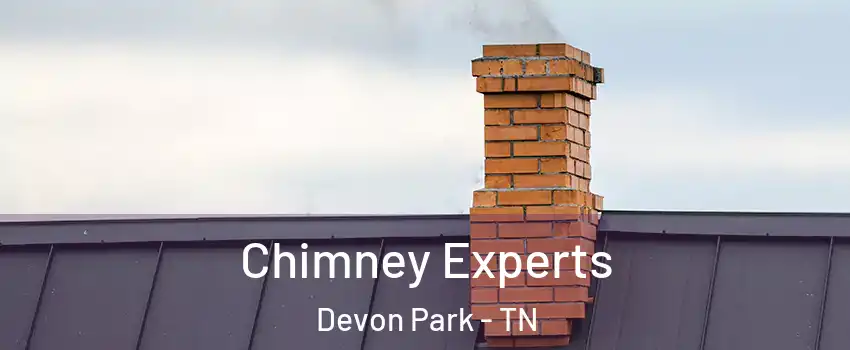 Chimney Experts Devon Park - TN