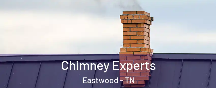 Chimney Experts Eastwood - TN