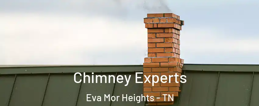 Chimney Experts Eva Mor Heights - TN