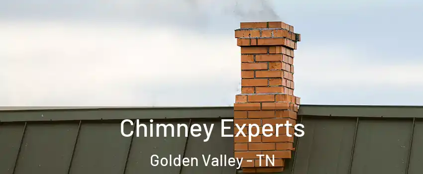 Chimney Experts Golden Valley - TN