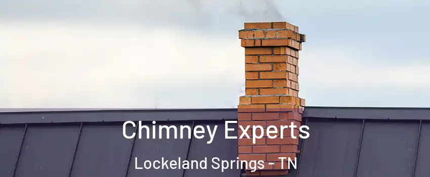 Chimney Experts Lockeland Springs - TN