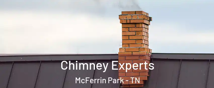 Chimney Experts McFerrin Park - TN