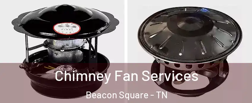 Chimney Fan Services Beacon Square - TN