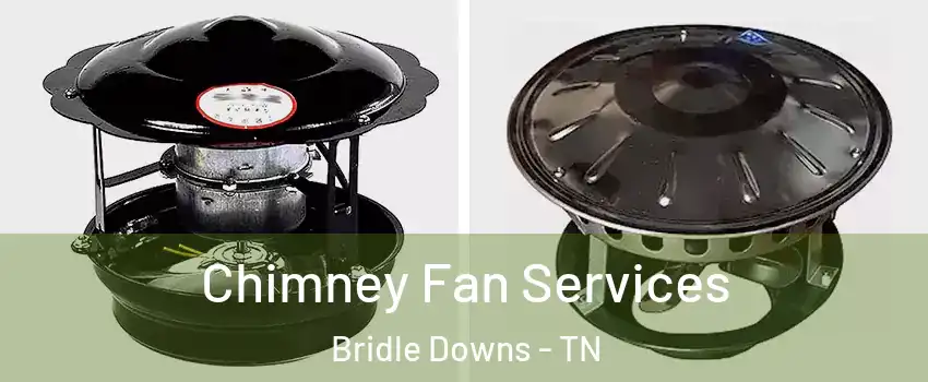 Chimney Fan Services Bridle Downs - TN