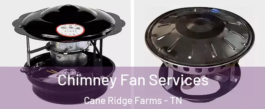 Chimney Fan Services Cane Ridge Farms - TN