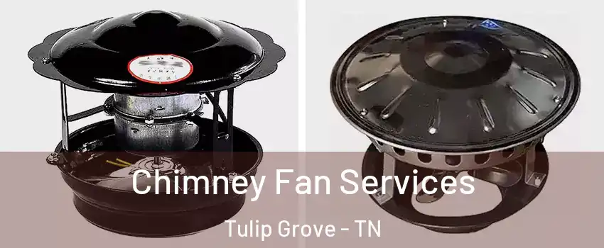 Chimney Fan Services Tulip Grove - TN