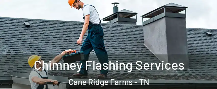 Chimney Flashing Services Cane Ridge Farms - TN