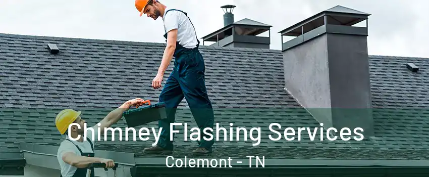 Chimney Flashing Services Colemont - TN