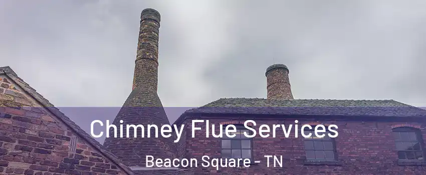 Chimney Flue Services Beacon Square - TN