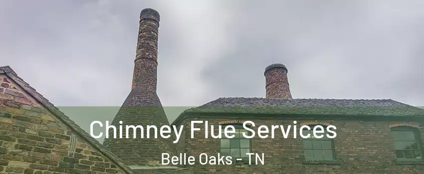 Chimney Flue Services Belle Oaks - TN