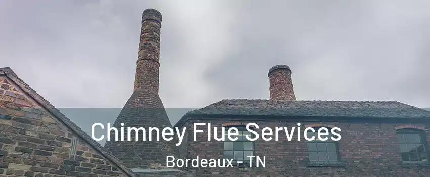 Chimney Flue Services Bordeaux - TN