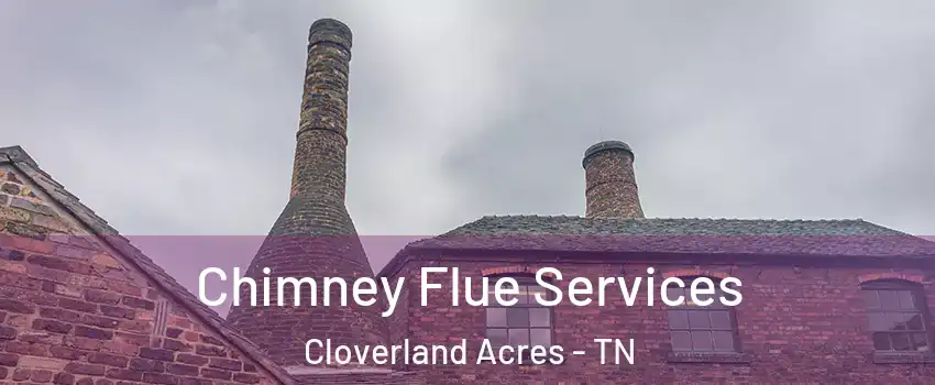 Chimney Flue Services Cloverland Acres - TN