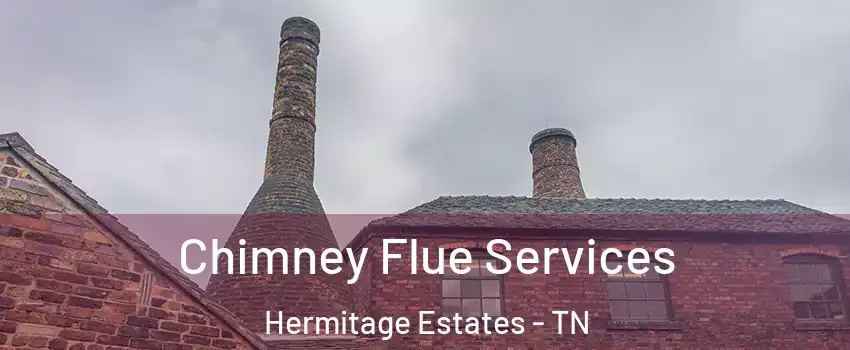 Chimney Flue Services Hermitage Estates - TN