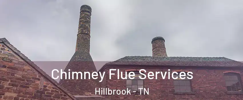 Chimney Flue Services Hillbrook - TN