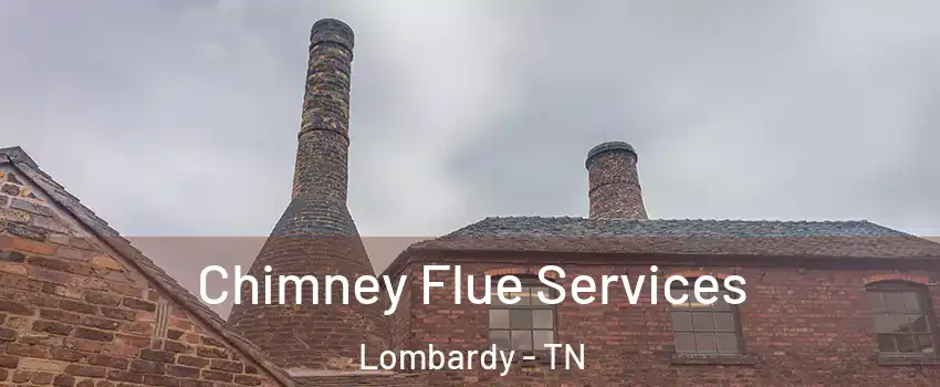 Chimney Flue Services Lombardy - TN