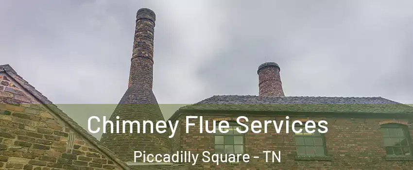 Chimney Flue Services Piccadilly Square - TN