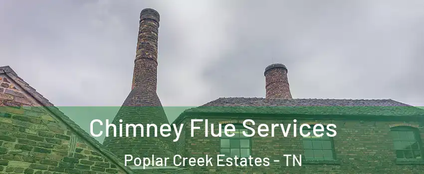 Chimney Flue Services Poplar Creek Estates - TN