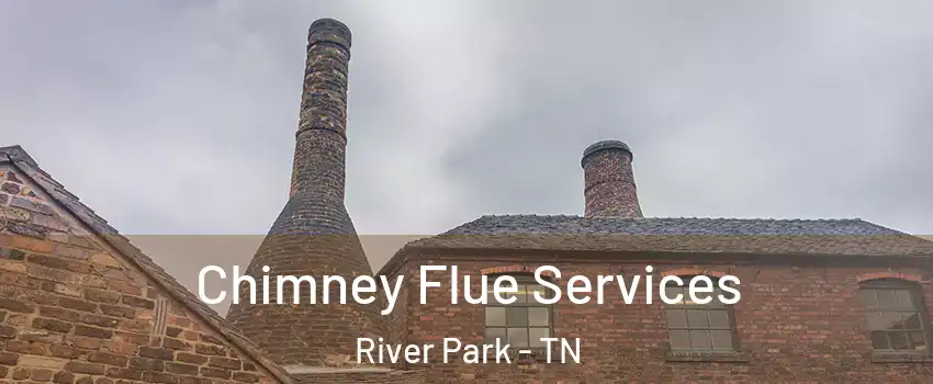 Chimney Flue Services River Park - TN