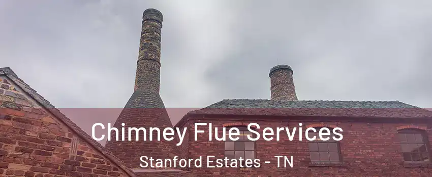 Chimney Flue Services Stanford Estates - TN