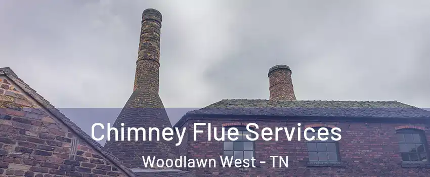 Chimney Flue Services Woodlawn West - TN