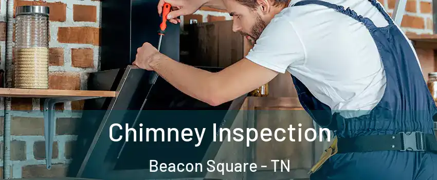 Chimney Inspection Beacon Square - TN