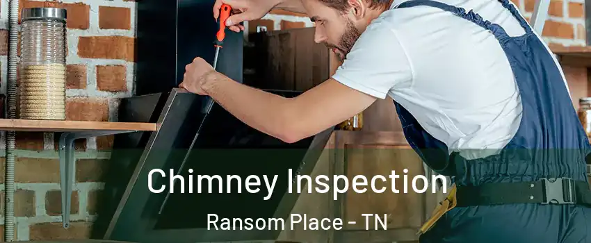 Chimney Inspection Ransom Place - TN