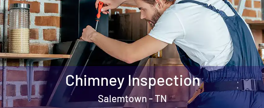 Chimney Inspection Salemtown - TN