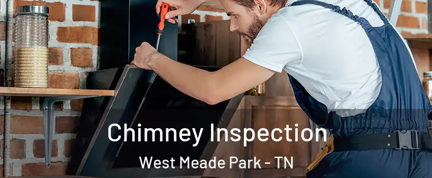 Chimney Inspection West Meade Park - TN