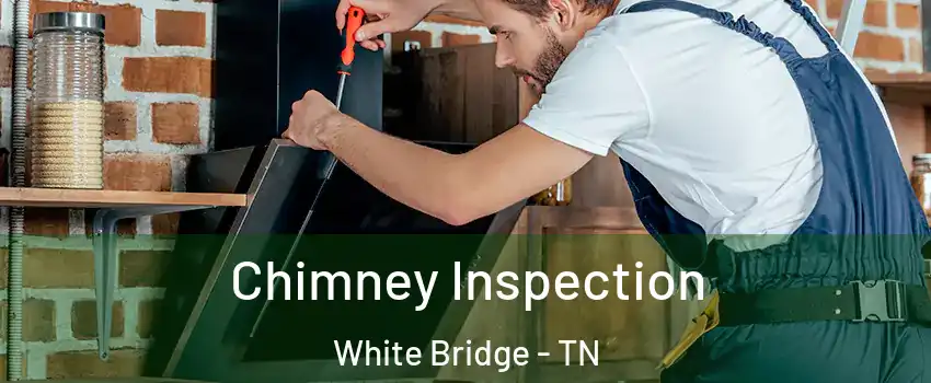 Chimney Inspection White Bridge - TN