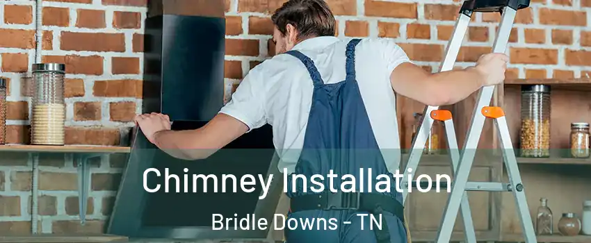 Chimney Installation Bridle Downs - TN