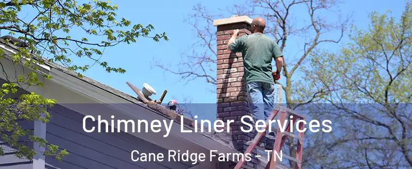 Chimney Liner Services Cane Ridge Farms - TN