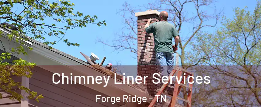 Chimney Liner Services Forge Ridge - TN