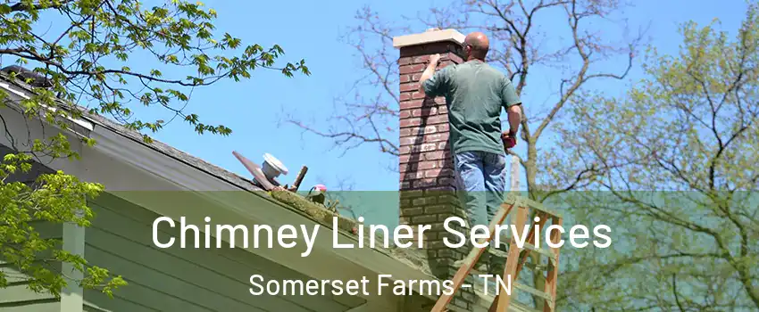 Chimney Liner Services Somerset Farms - TN