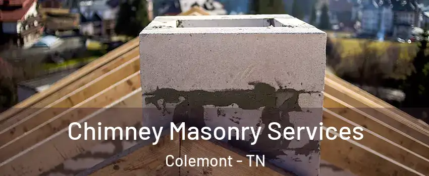 Chimney Masonry Services Colemont - TN