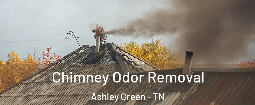 Chimney Odor Removal Ashley Green - TN