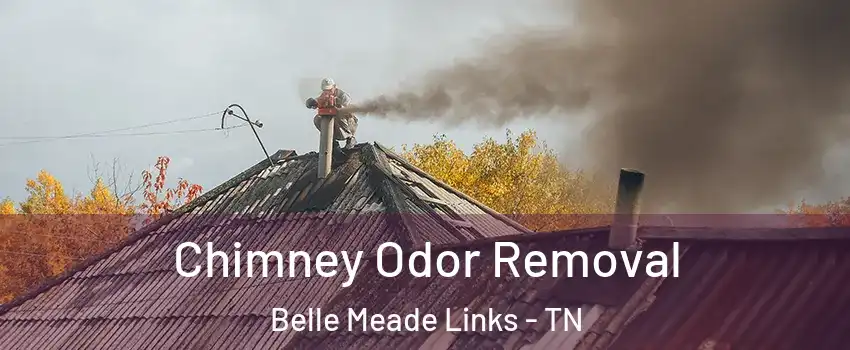 Chimney Odor Removal Belle Meade Links - TN