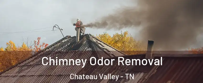 Chimney Odor Removal Chateau Valley - TN