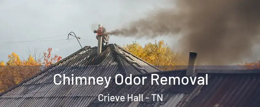 Chimney Odor Removal Crieve Hall - TN