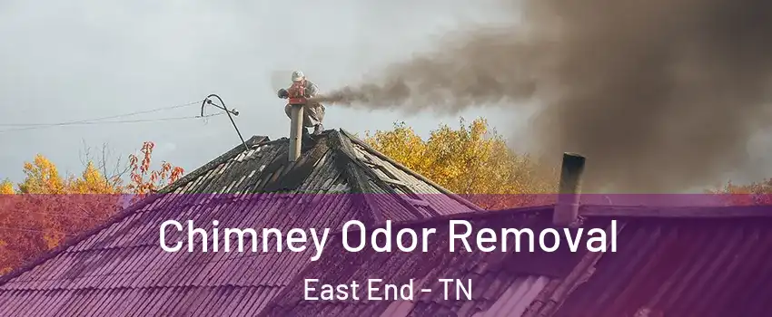 Chimney Odor Removal East End - TN