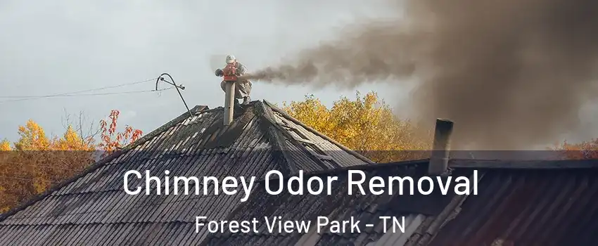 Chimney Odor Removal Forest View Park - TN