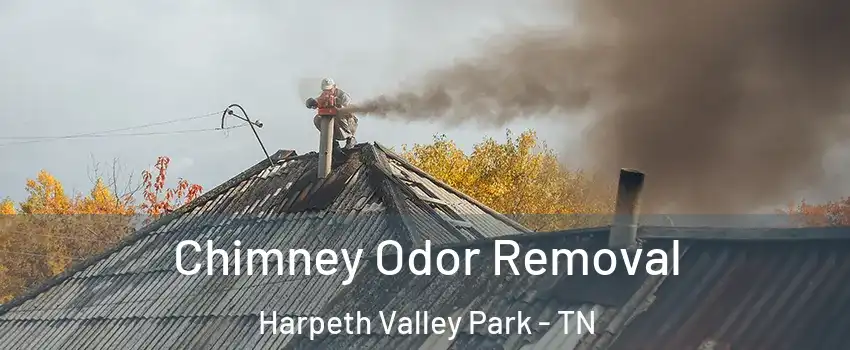 Chimney Odor Removal Harpeth Valley Park - TN