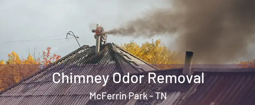 Chimney Odor Removal McFerrin Park - TN