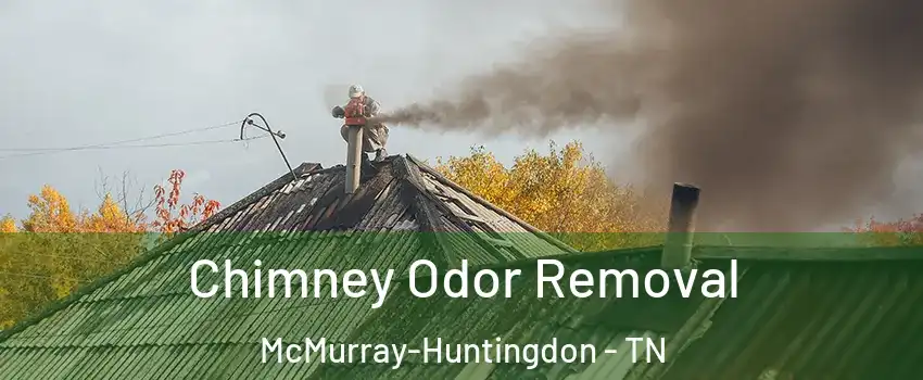 Chimney Odor Removal McMurray-Huntingdon - TN